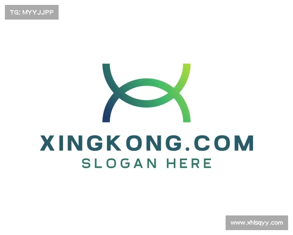 了解xingkong.com
